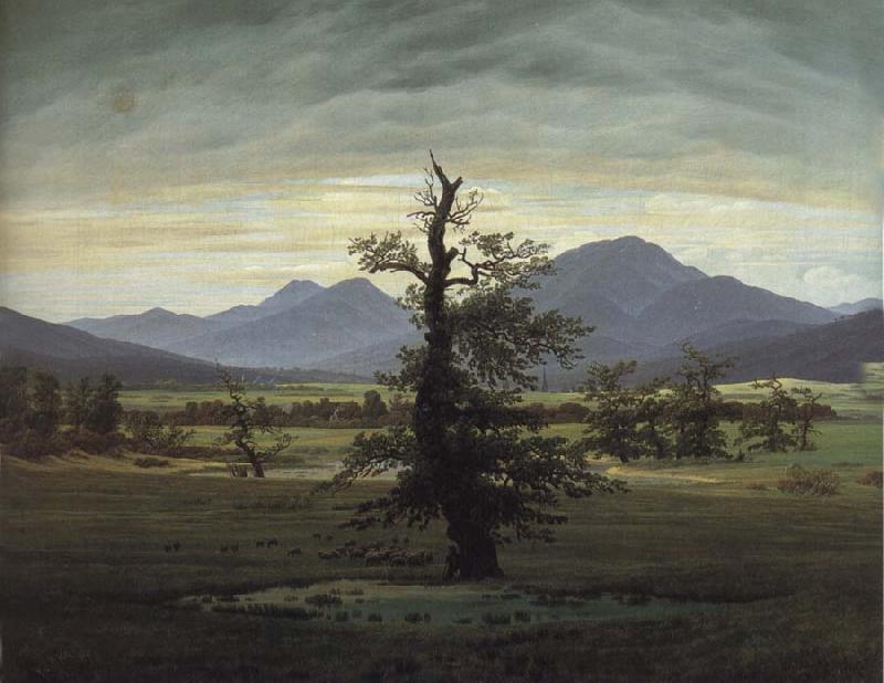 Caspar David Friedrich The Solitary Tree oil painting image